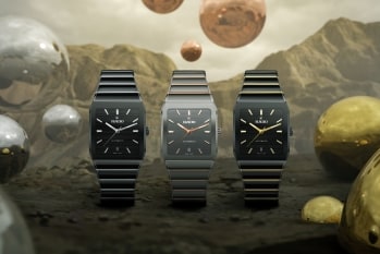 Anatom_Article_Rado