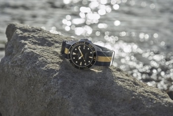 Certina Article