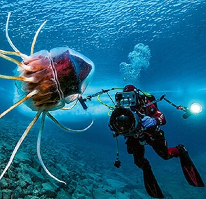 hourpassion-blancpain-oceancommitment-420x390px.jpg